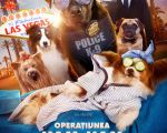 Filmul "Operaţiunea Ham-Ham"