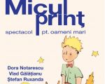 MICUL PRINȚ - spectacol pentru oameni mari