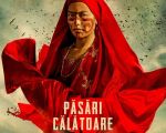 Filmul "Păsări călătoare"