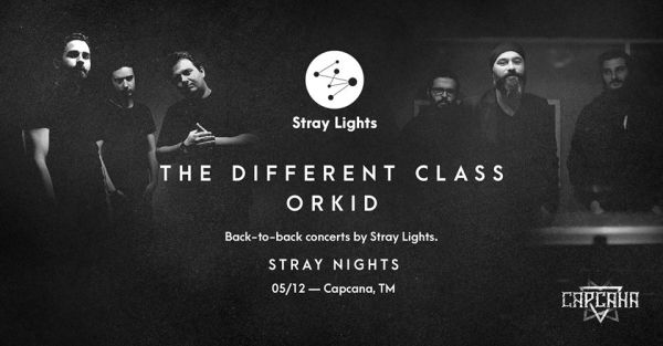 The Different Class & Orkid