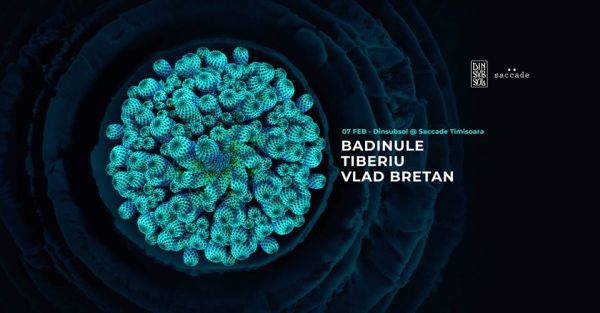 Badinule, Tiberiu, Vlad Bretan