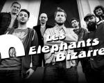 Les Elephants Bizarres