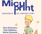 MICUL PRINȚ - spectacol pt oameni mari