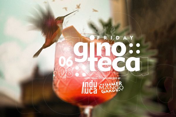 GINO TECA MANGO - DJ Andu Luca