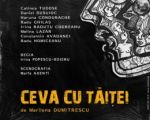 Spectacolul: "Ceva cu tăiței"