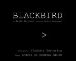 Spectacolul "Blackbird"