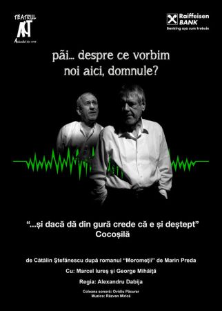 Spectacolul: "Păi... despre ce vorbim noi aici, domnule?"