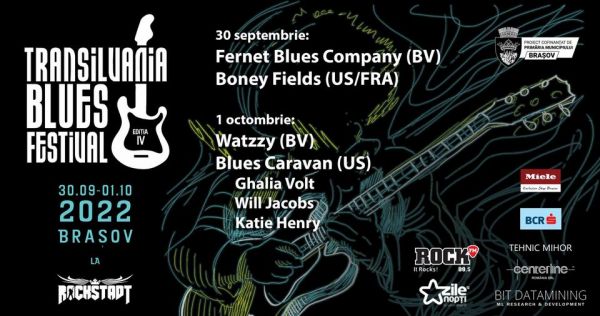 Transilvania Blues Festival IV