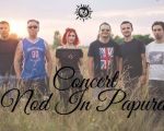 Concert Nod In Papura