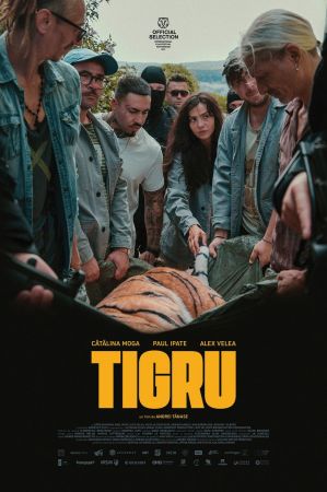 Filmul "Tigru"