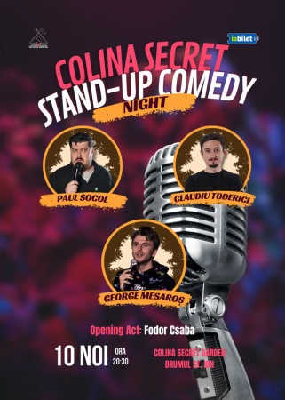 Stand-Up Comedy Night