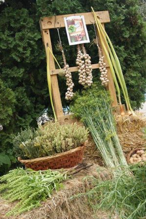 Târg de produse bio. Susţinem tinerii fermieri