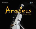 Spectacolul "AMADEUS"