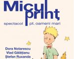 Micul Prinț - spectacol pentru oameni mari