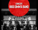 Bigg Dimm'a Band