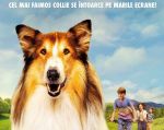 Filmul "Lassie - o nouă aventură"