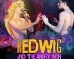 Hedwig and the Angry Inch – musical rock, regia Răzvan Mazilu