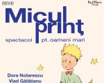 Micul Prinț - spectacol pentru oameni mari