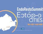 Endo Resto Summit in Ectopic cities