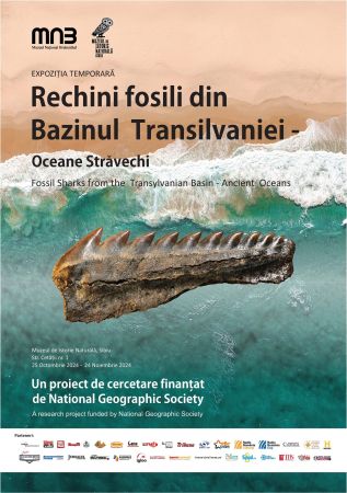 Expozitia: "Rechini fosili din Bazinul Transilvaniei – Oceane străvechi"