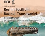 Expozitia: "Rechini fosili din Bazinul Transilvaniei – Oceane străvechi"