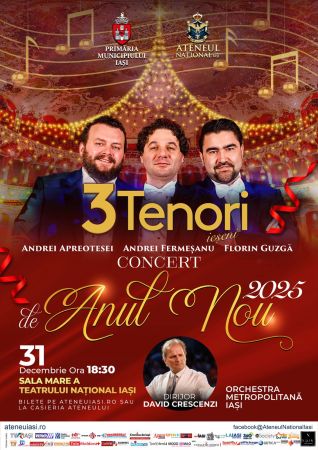 Concert de Anul Nou