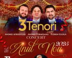 Concert de Anul Nou