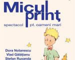 Spectacolul "Micul prinț - spectacol pt oameni mari"