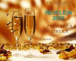 REVELION 2025 Oldies Pub - Live Music