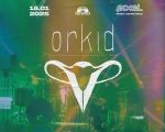 Orkid (live)