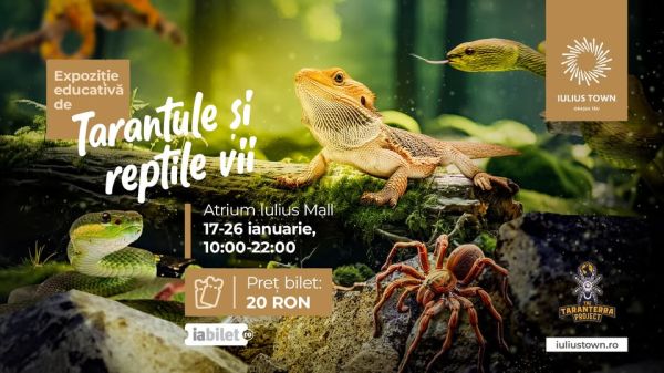 Expoziția educativă de TARANTULE și REPTILE vii