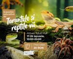 Expoziția educativă de TARANTULE și REPTILE vii