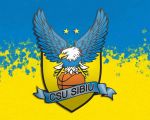 BC CSU Sibiu